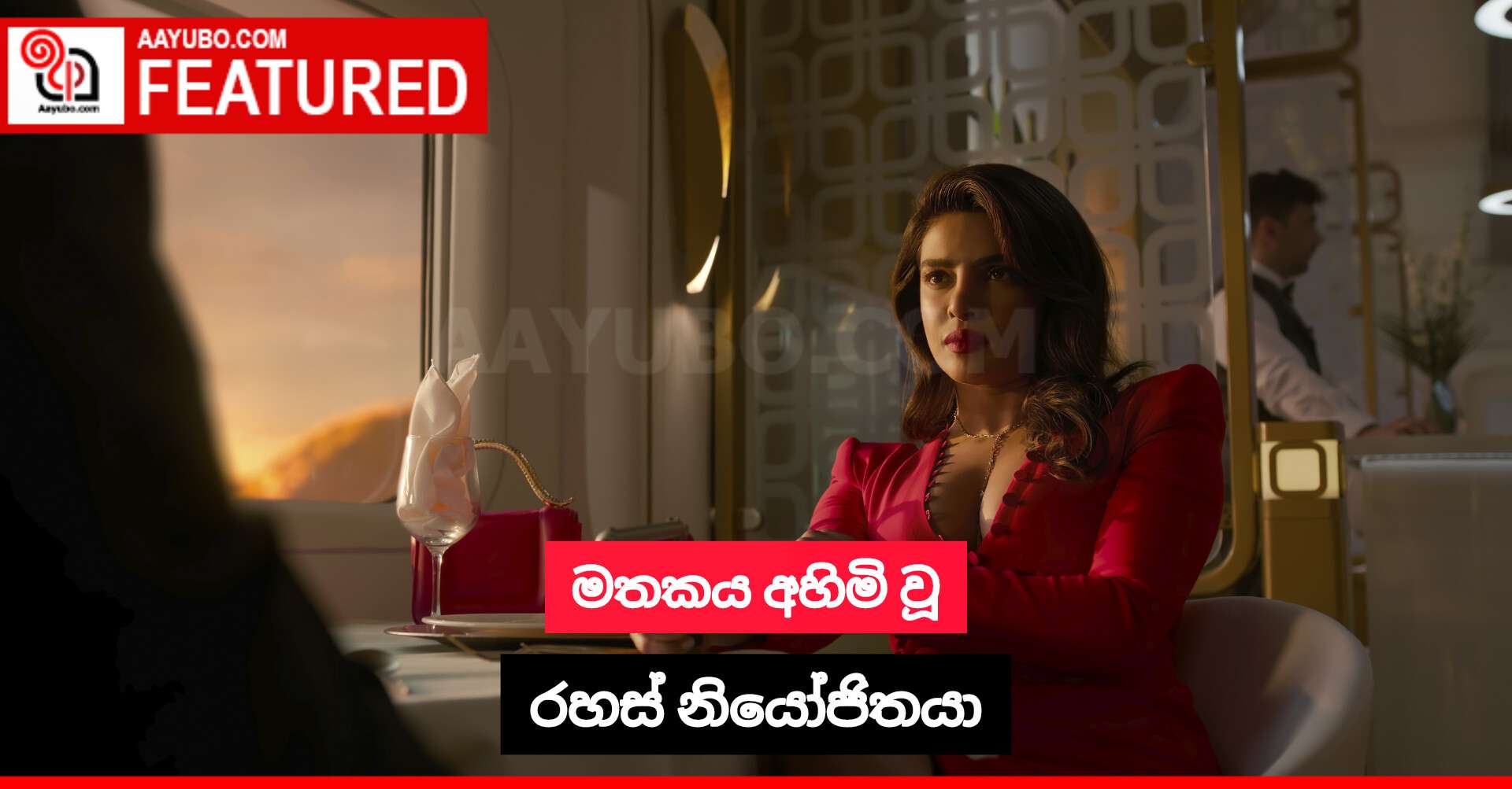 මතකය අහිමි වූ රහස් නියෝජිතයා