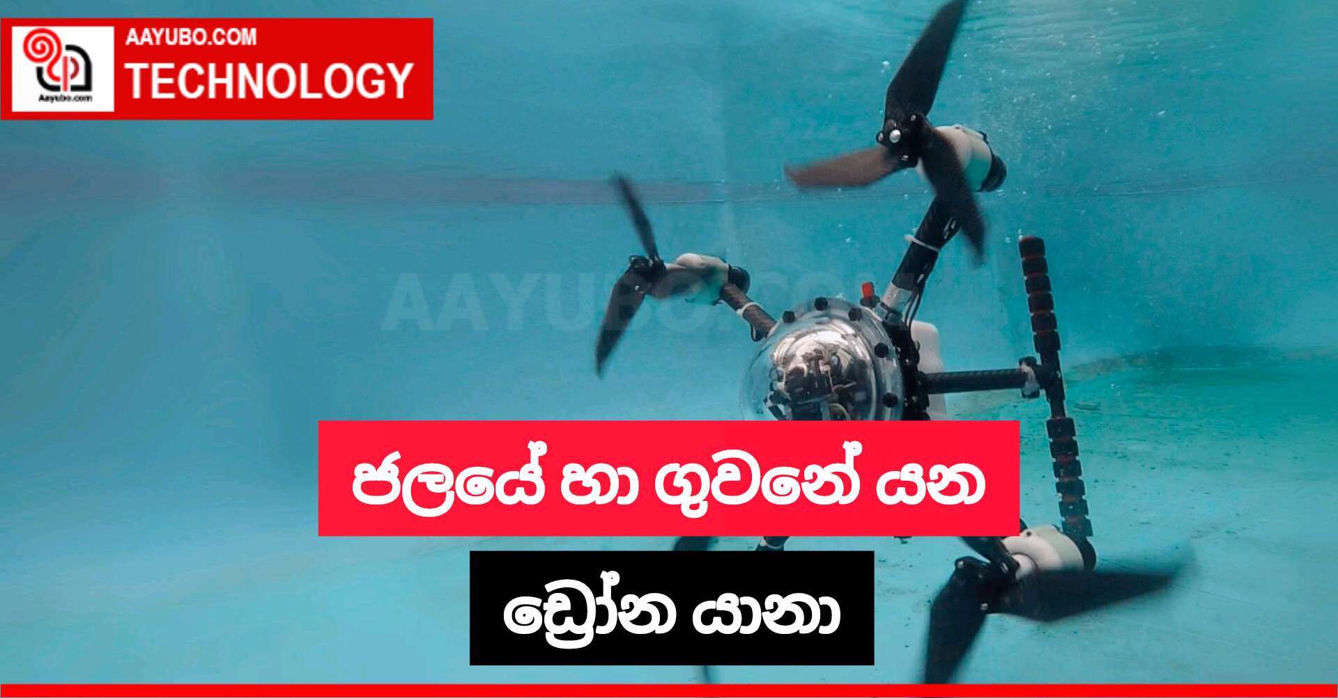 ජලයේ හා ගුවනේ යන ඩ්‍රෝන යානයක්