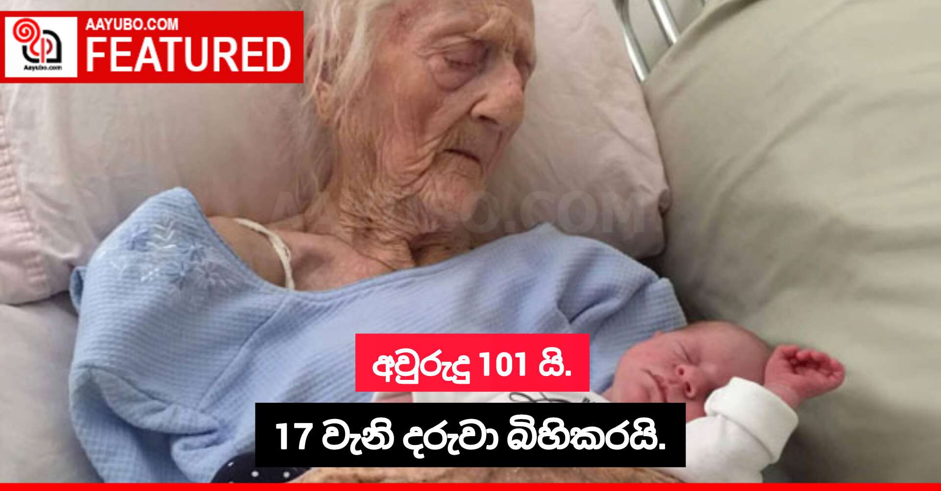 අවුරුදු 101 යි. 17 වැනි දරුවා බිහිකරයි.