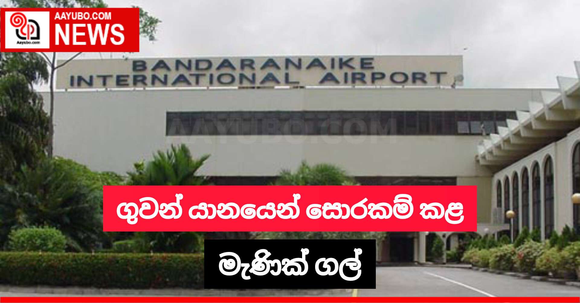 ගුවන් යානයෙන් සොරකම් කළ මැණික් ගල්