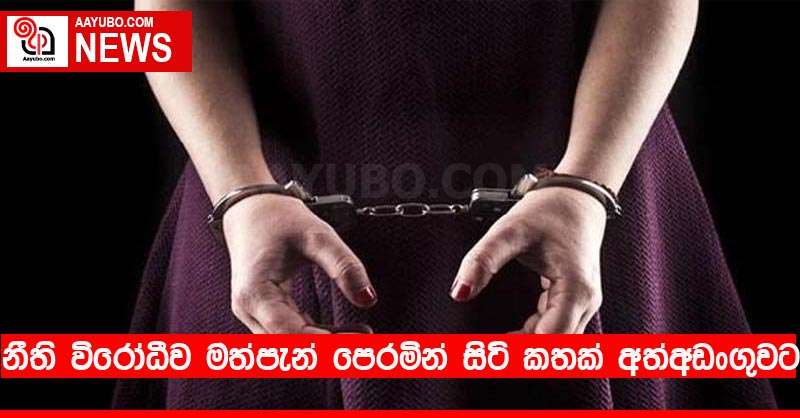 නීති විරෝධීව මත්පැන් පෙරමින් සිටි කතක් අත්අඩංගුවට
