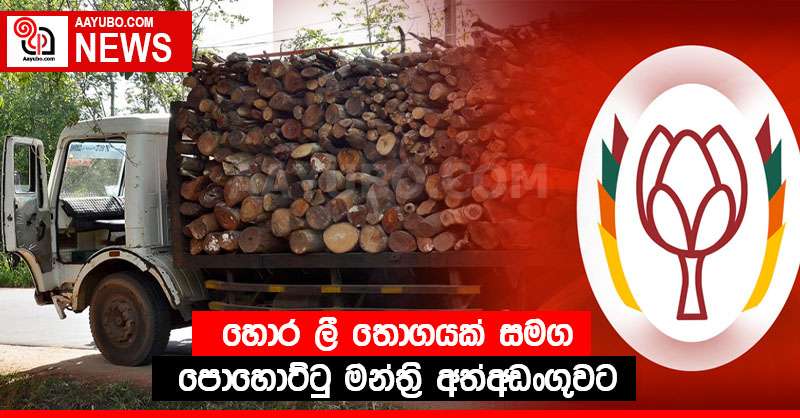 හොර ලී තොගයක් සමග පොහොට්ටු මන්ත්‍රි අත්අඩංගුවට