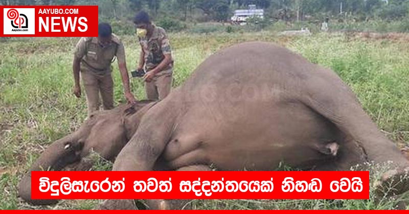 විදුලිසැරෙන් තවත් සද්දන්තයෙක් නිහඬ වෙයි