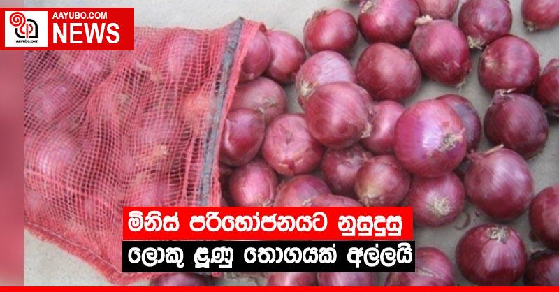 මිනිස් පරිභෝජනයට නුසුදුසු ලොකු ළූණු තොගයක් අල්ලයි