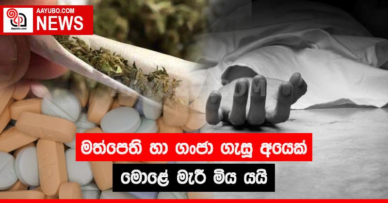 මත්පෙති හා ගංජා ගැසූ අයෙක් මොළේ මැරී මිය යයි