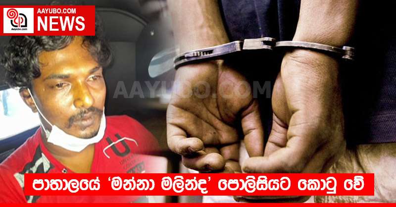 පාතාලයේ 'මන්නා මලින්ද' පොලිසියට කොටු වේ