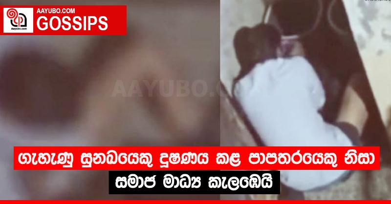 ගැහැණු සුනඛයෙකු දූ*ණය කළ පාපතරයෙකු නිසා සමාජ මාධ්‍ය කැලඹෙයි