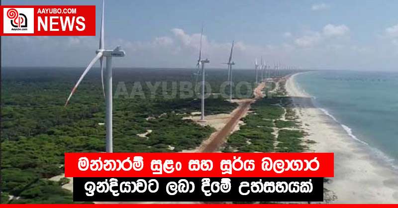 මන්නාරම් සුළං සහ සූර්ය බලාගාර ඉන්දියාවට ලබා දීමේ උත්සහයක්