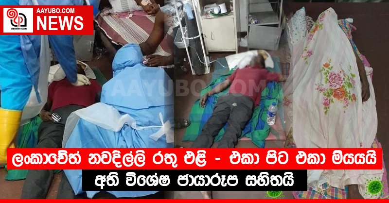 ලංකාවේත් නවදිල්ලි රතු එළි - අති විශේෂ ජායාරූප සහිතයි (PHOTOS)