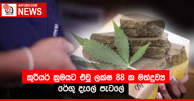 කුරියර් ක්‍රමයට එවූ ලක්ෂ  88 ක මත්ද්‍රව්‍ය රේගු දැලේ පැටලේ
