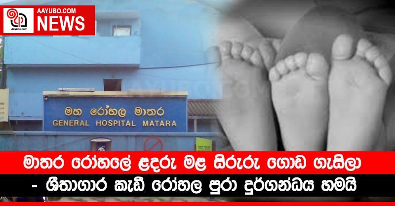 මාතර රෝහලේ ළදරු මළ සිරුරු ගොඩ ගැසිලා - ශීතාගාර කැඩී රෝහල පුරා දුර්ගන්ධය හමයි