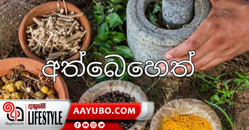 අත්බෙහෙත් - 01