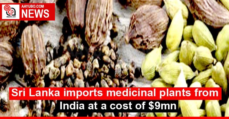 Sri Lanka imports medicinal plants from India at a cost of $ 9mn