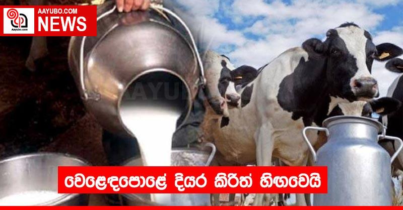 වෙළෙඳපොළේ දියර කිරිත් හිඟවෙයි
