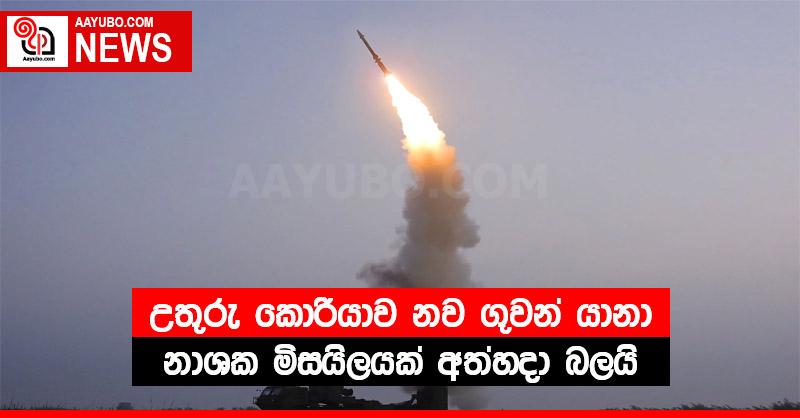 උතුරු කොරියාව නව ගුවන් යානා නාශක මිසයිලයක් අත්හදා බලයි
