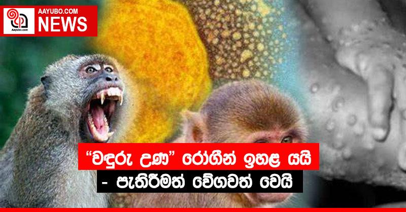 "වඳුරු උණ" රෝගීන් ඉහළ යයි - පැතිරීමත් වේගවත් වෙයි