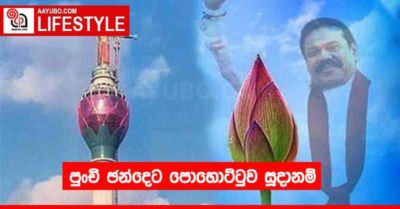 පුංචි ඡන්දෙට පොහොට්ටුව සූදානම්