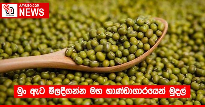 මුං ඇට මිලදීගන්න මහ භාණ්ඩාගාරයෙන් මුදල්