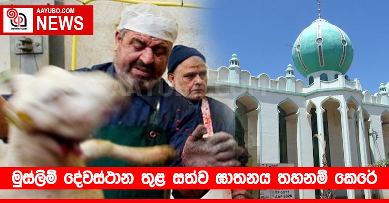 මුස්ලිම් දේවස්ථාන තුළ සත්ව ඝාතනය තහනම් කෙරේ