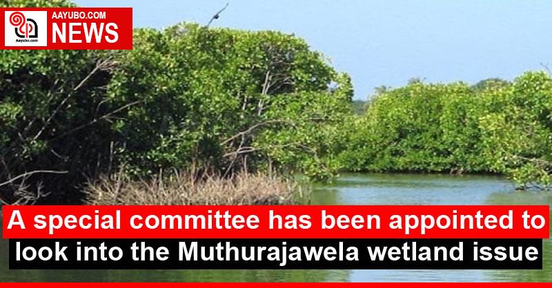 A special committee has been appointed to look into the Muthurajawela wetland issue