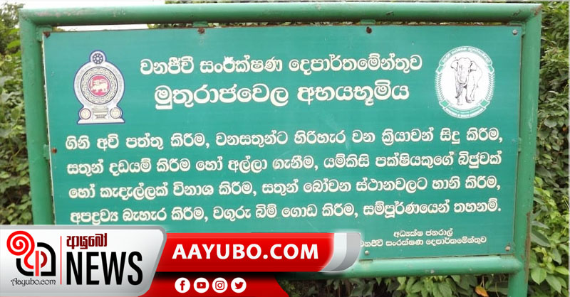 වන සංරක්ෂිත මුතුරාජවෙල තෙත් බිමේ අක්කර 700ක් අනතුරේ