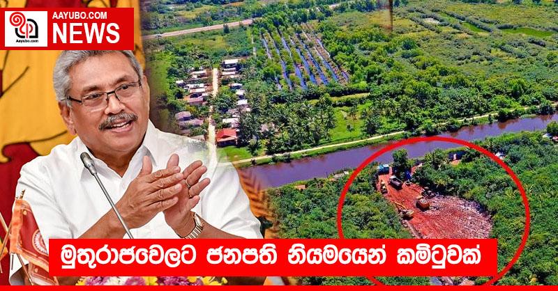 මුතුරාජවෙලට ජනපති නියමයෙන් කමිටුවක්