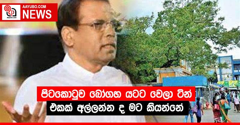 පිටකොටුව බෝගහ යටට වෙලා ටින් එකක් අල්ලන්න ද මට කියන්නේ