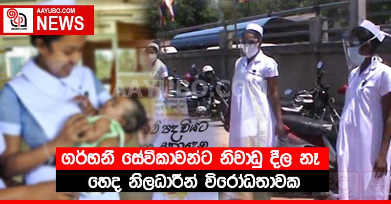 ගර්භනී සේවිකාවන්ට නිවාඩු දීල නෑ - හෙද නිලධාරීන් විරෝධතාවක