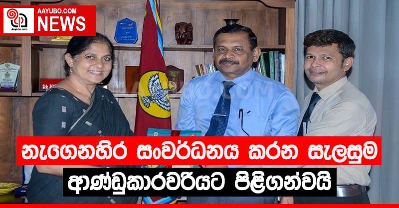 නැගෙනහිර සංවර්ධනය කරන සැලසුම ආණ්ඩුකාරවරියට පිළිගන්වයි