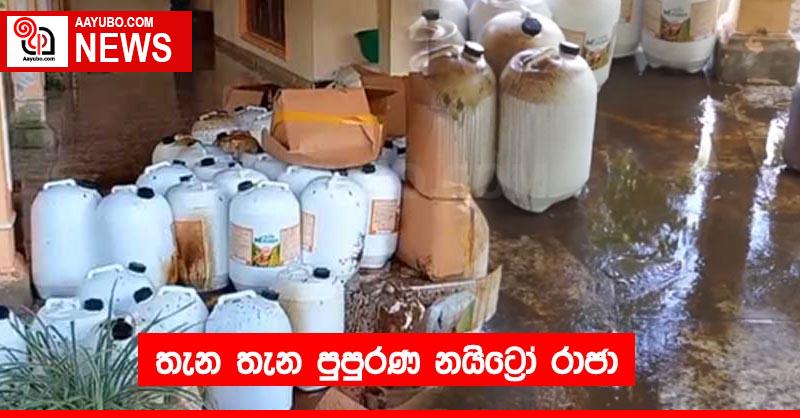 තැන තැන පුපුරණ නයිට්‍රෝ රාජා