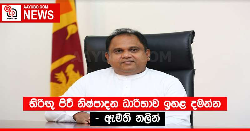 තිරිඟු පිටි නිෂ්පාදන ධාරිතාව ඉහළ දමන්න - ඇමති නලින්