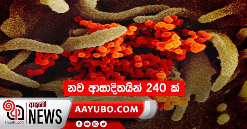 නව ආසාදිතයින් 240 ක්
