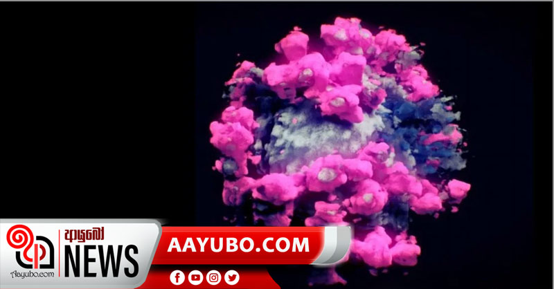ලංකාවෙන් නව කොවිඩ් ප්‍රභේදයක් සොයා ගැනේ - පැතිරීම වේගවත්