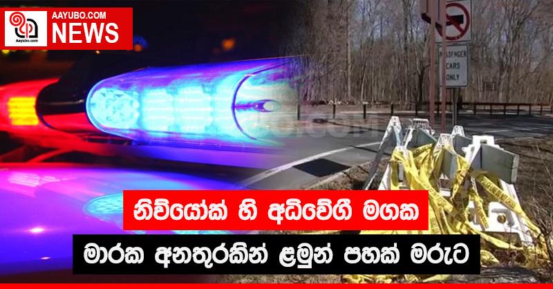 නිව්යෝක් හි අධිවේගී මගක මාරක අනතුරකින් ළමුන් පහක් මරුට