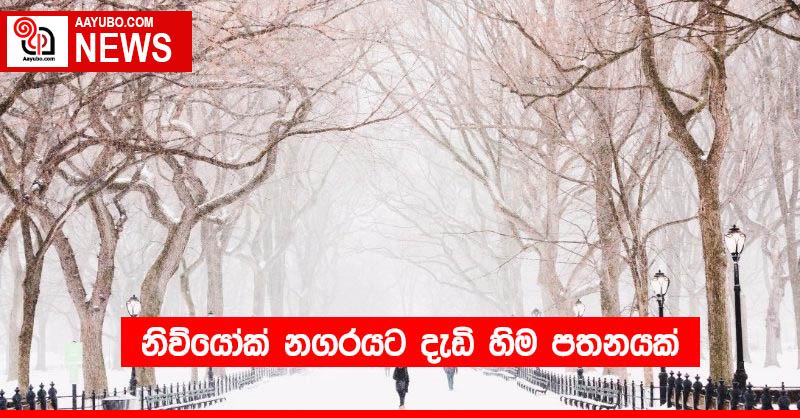 නිව්යෝක් නගරයට දැඩි හිම පතනයක්