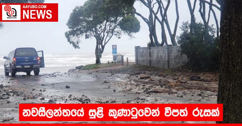 නවසීලන්තයේ සුළි කුණාටුවෙන් විපත් රැසක්