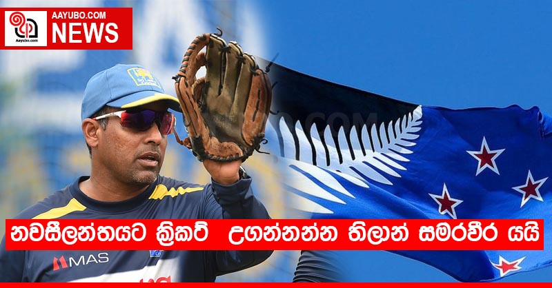 නවසීලන්තයට ක්‍රිකට්  උගන්නන්න තිලාන් සමරවීර යයි