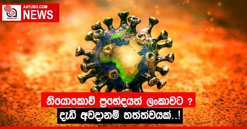 නියොකොව් ප්‍රභේදයත් ලංකාවට ? දැඩි අවදානම් තත්ත්වයක්!