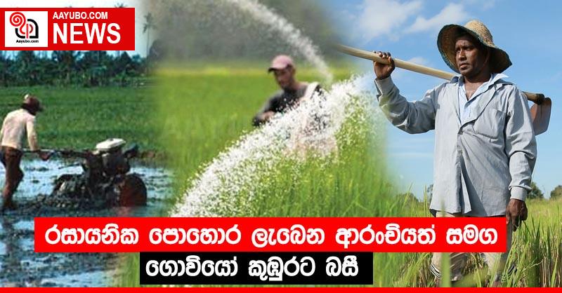 රසායනික පොහොර ලැබෙන ආරංචියත් සමග ගොවියෝ කුඹුරට බසී