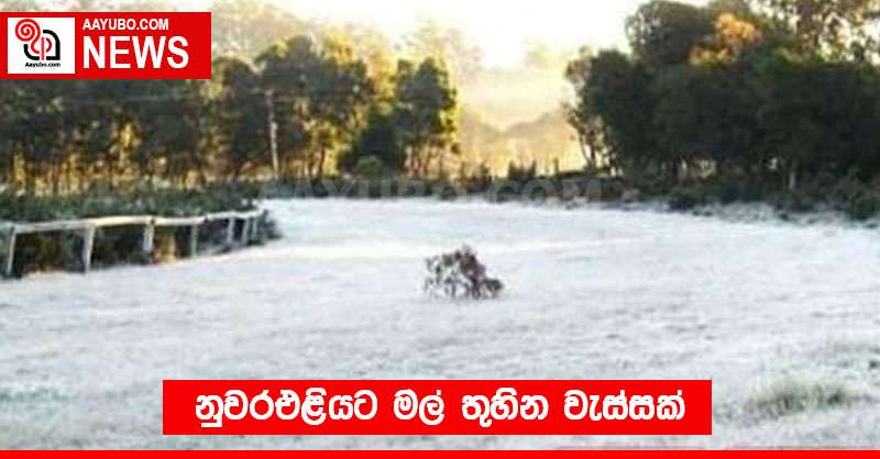 නුවරඑළියට මල් තුහින වැස්සක්