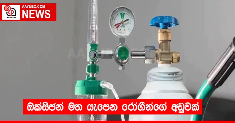 ඔක්සිජන් මත යැපෙන රෝගීන්ගේ අඩුවක්