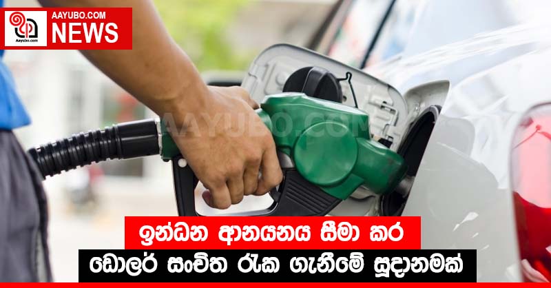 ඉන්ධන ආනයනය සීමා කර ඩොලර් සංචිත රැක ගැනීමේ සූදානමක්