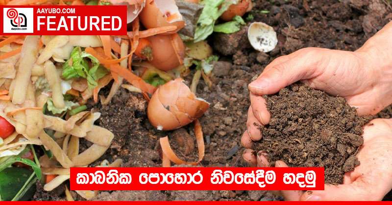 කාබනික පොහොර නිවසේදීම හදමු 