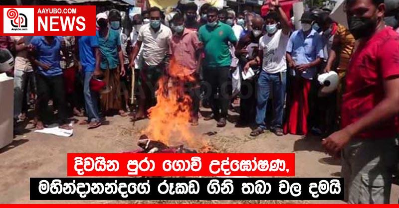 දිවයින පුරා ගොවි උද්ඝෝෂණ,මහින්දානන්දගේ රූකඩ ගිනි තබා වල දමයි