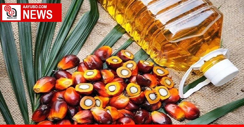 Palm oil imports banned