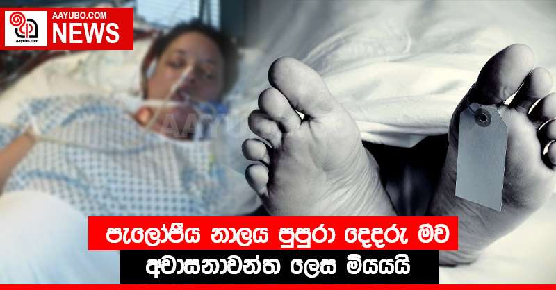 පැලෝපීය නාලය පුපුරා දෙදරු මව අවාසනාවන්ත ලෙස මියයයි