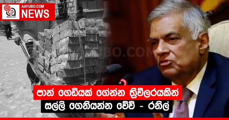 පාන් ගෙඩියක් ගේන්න ත්‍රිවීලරයකින් සල්ලි ගෙනියන්න වේවි - රනිල්