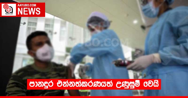 පානදුර එන්නත්කරණයත් උණුසුම් වෙයි