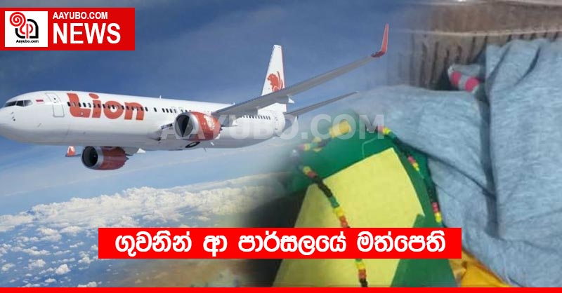 ගුවනින් ආ පාර්සලයේ මත්පෙති 