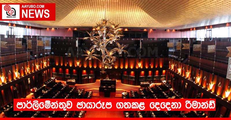 පාර්ලිමේන්තුව ඡායාරූප ගතකළ දෙදෙනා රිමාන්ඩ්